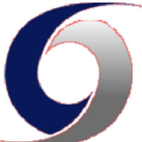 DXSTORM.com Inc Logo