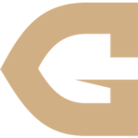 Genesis Metals Corp Logo