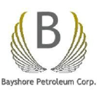 Infinitum Copper Corp Logo