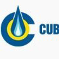 Cub Energy Inc Logo