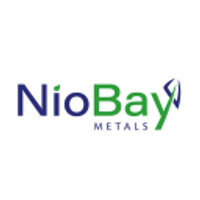 Niobay Metals Inc Logo