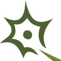 NervGen Pharma Corp Logo