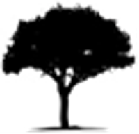 Nulegacy Gold Corp Logo