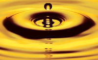 Precipitate Gold Corp Logo