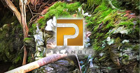 Pelangio Exploration Inc Logo