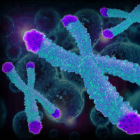 Telo Genomics Corp Logo