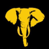 Tembo Gold Corp Logo