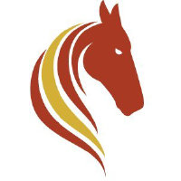 Pasofino Gold Limited Logo