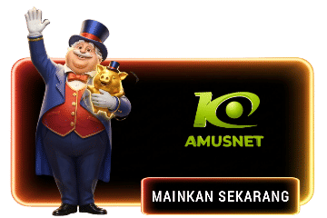 AMUSNET