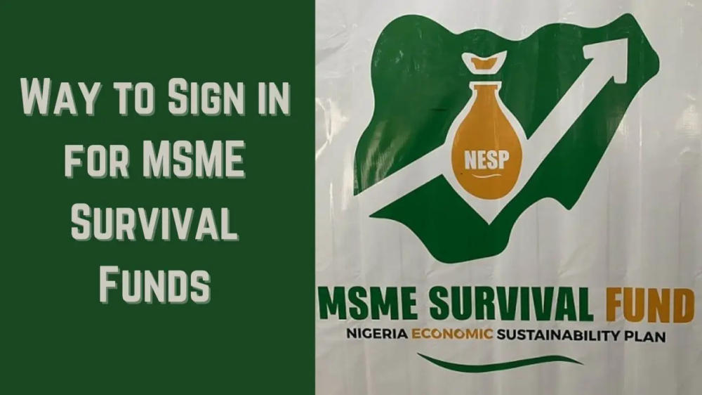 how to apply for msme survival fund