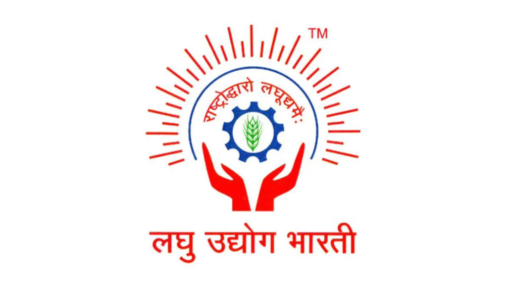 what is laghu udyog