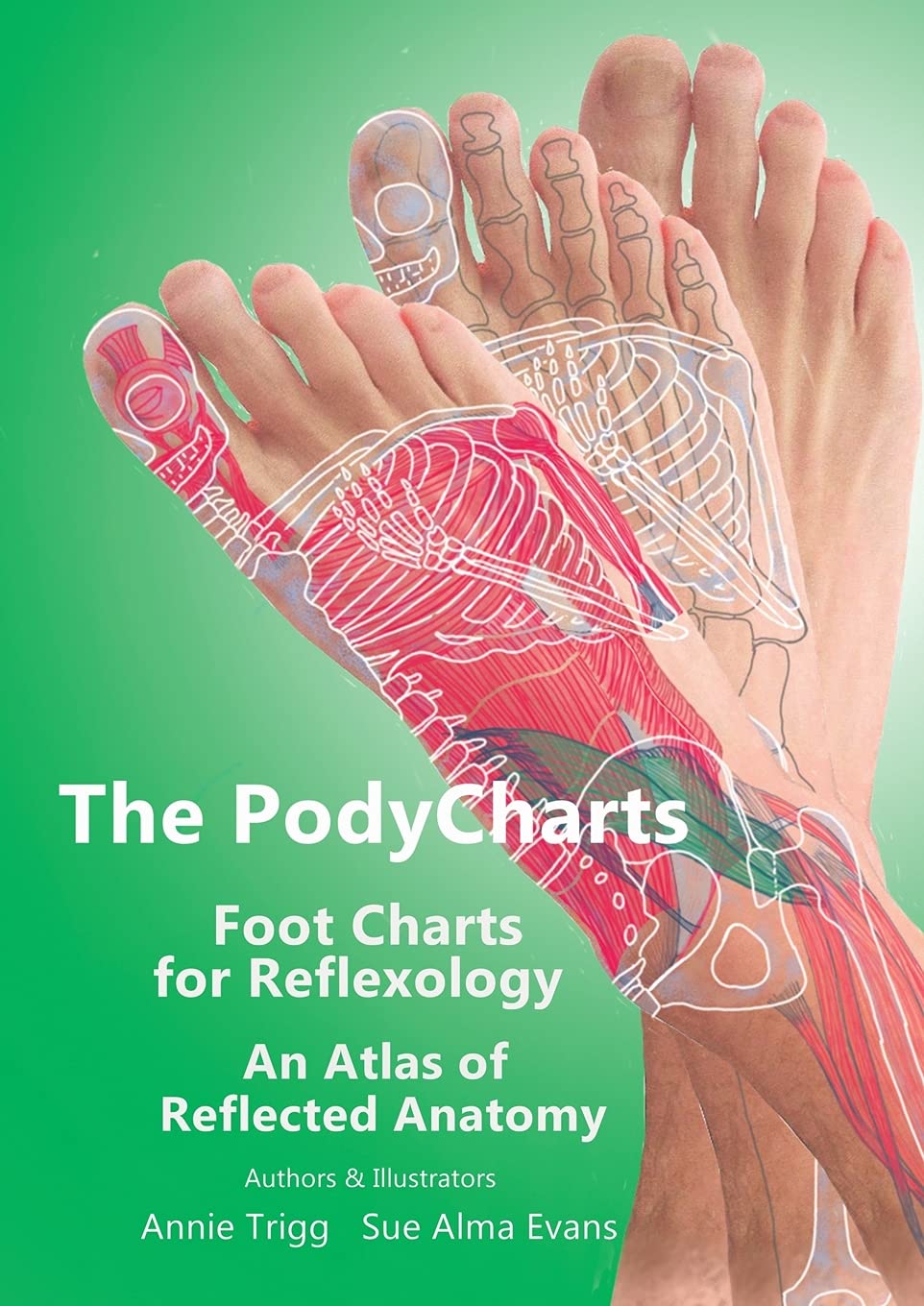 The PodyCharts Foot Charts for Reflexology: An atlas of reflected anatomy image
