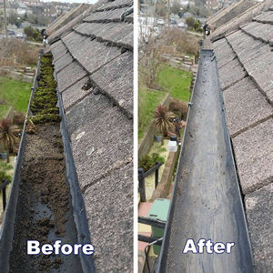 Gutter Cleaning Before and After