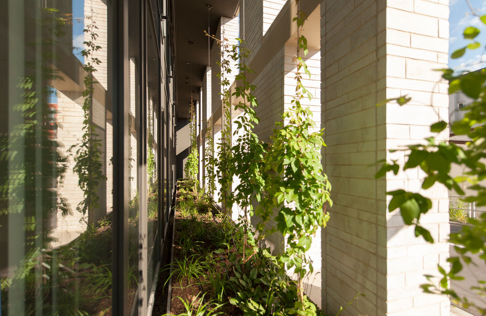 New-Glacis-Bastion - Neu-Ulm