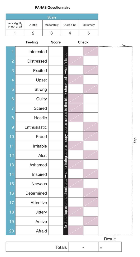 A PANAS Questionnaire