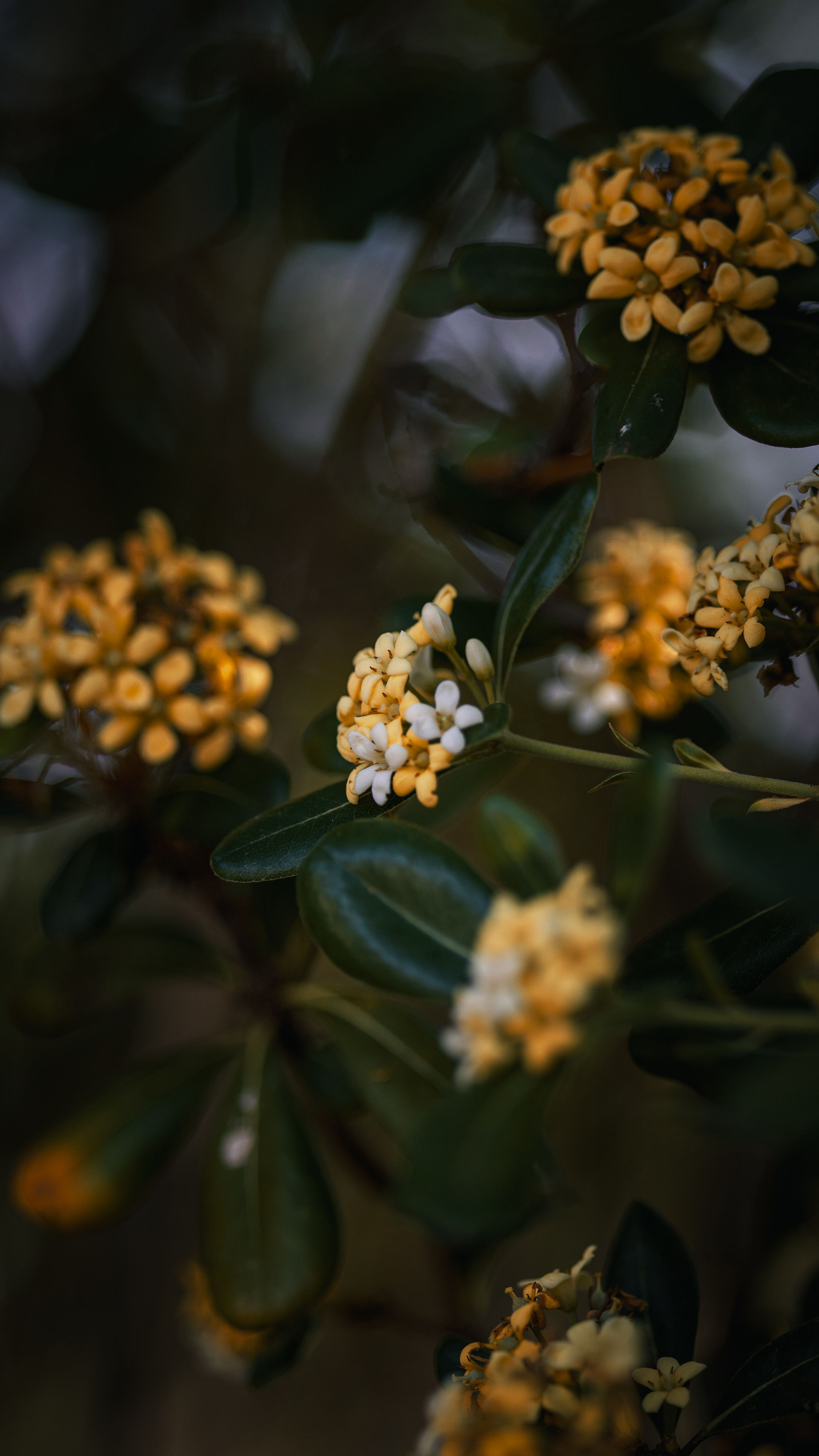 Nature 6
