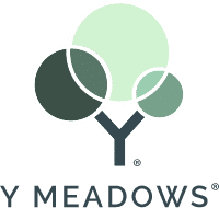 Y Meadows logo