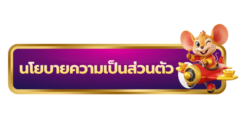 นโยบายความเป็นส่วนตัว