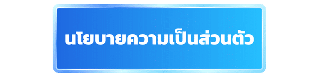 นโยบายความเป็นส่วนตัว