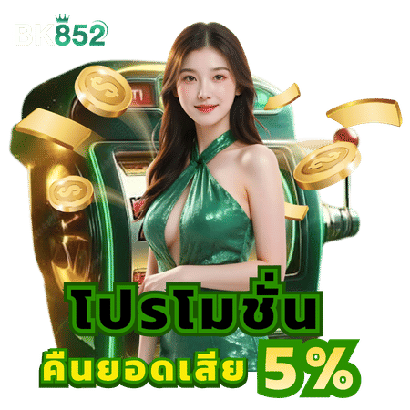 โปรโมชั่นคืนยอดเสีย 5%-bk852 
