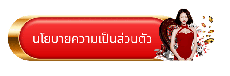 นโยบายความเป็นส่วนตัว -bk989