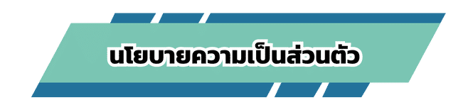 นโยบายความเป็นส่วนตัว