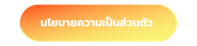 นโยบายความเป็นส่วนตัว