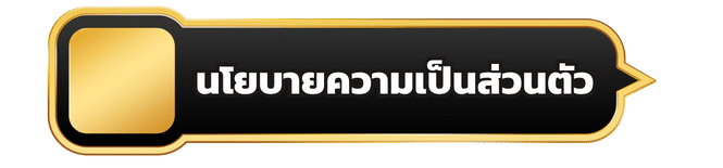 นโยบายความเป็นส่วนตัว