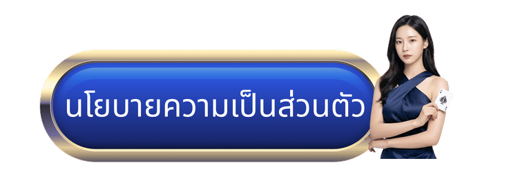 นโยบายความเป็นส่วนตัว-kamo99