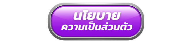 นโยบายความเป็นส่วนตัว