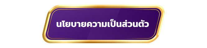 นโยบายความเป็นส่วนตัว