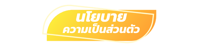 นโยบายความเป็นส่วนตัว