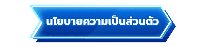นโยบายความเป็นส่วนตัว