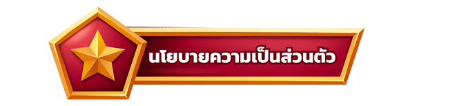 นโยบายความเป็นส่วนตัว