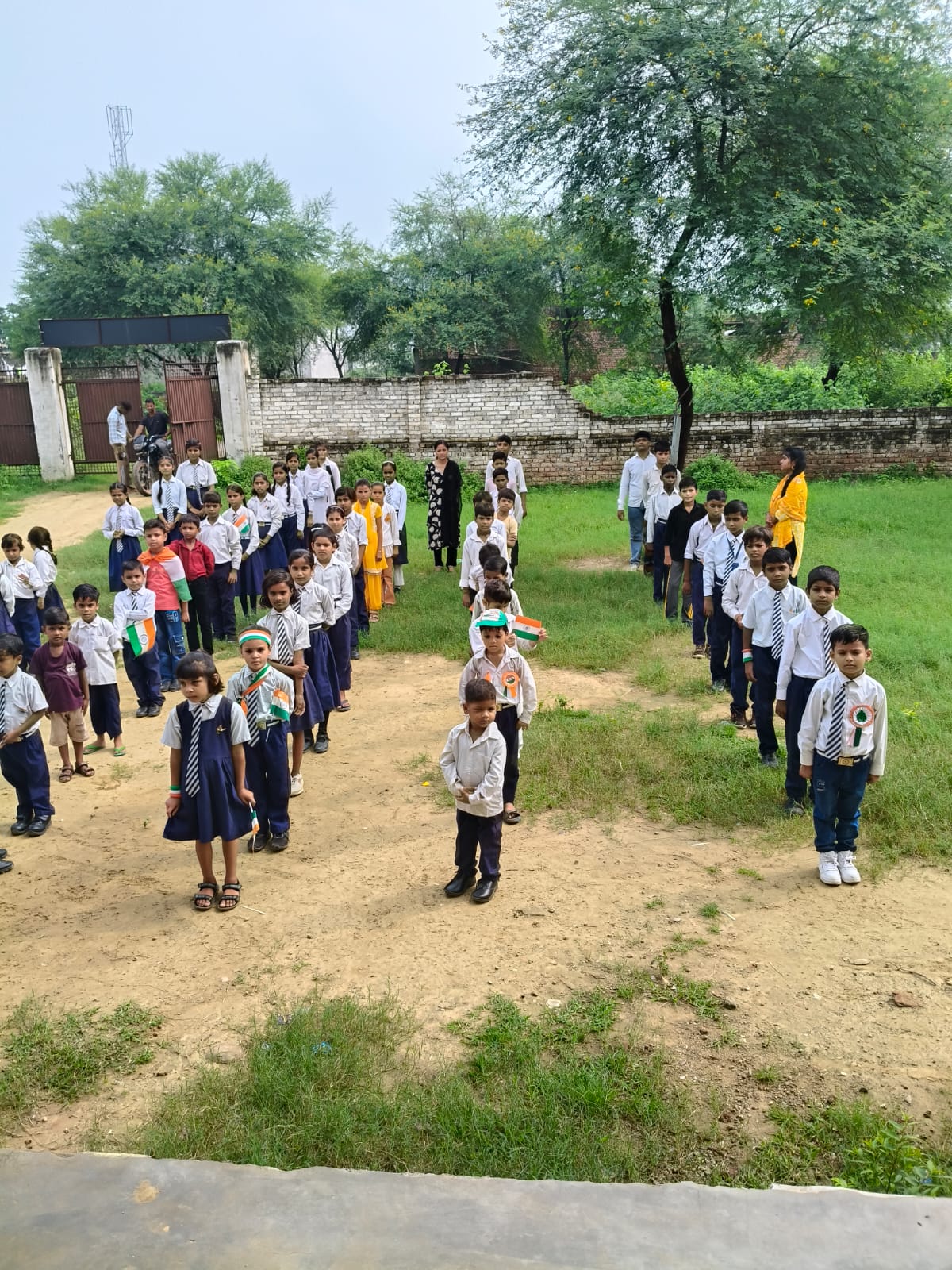 Field Activities
