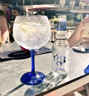 44747-gin_and_tonic