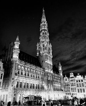 57504-brussels_town_hall