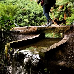 a2a81-heligan_waterfall