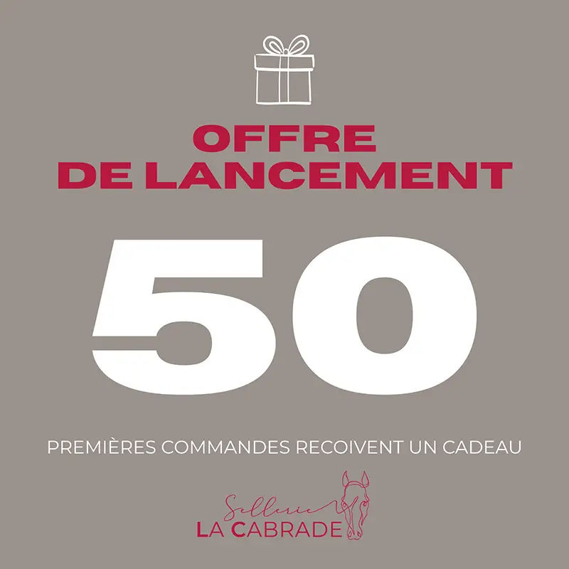 Aperçu du nouveau site