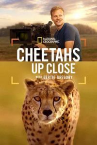 Cheetahs Up Close with Bertie Gregory (2026) Latest OTT Release Check Now