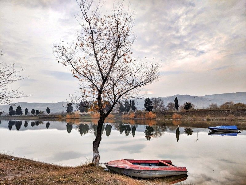 Central park in fall