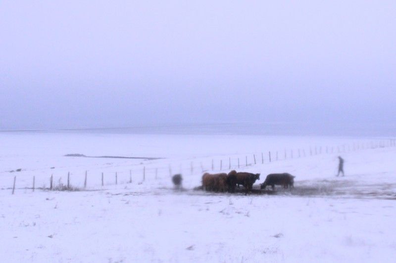 Zamtari chveni mghelvarebisa