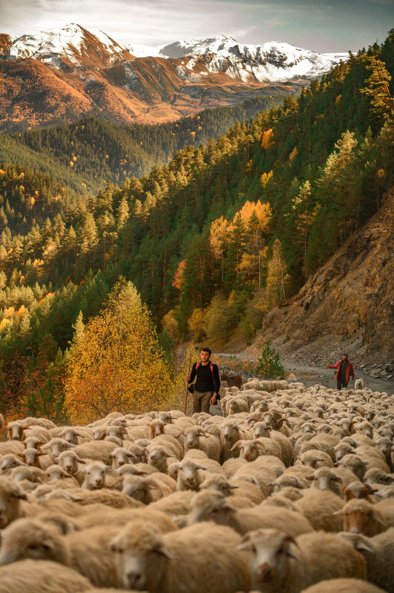 Autumn in Tusheti