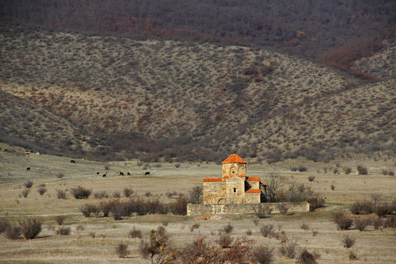 Telovanis jvarpatiosani (mtskheta)