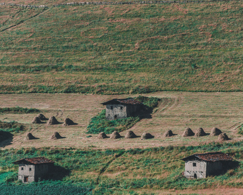 Tusheti