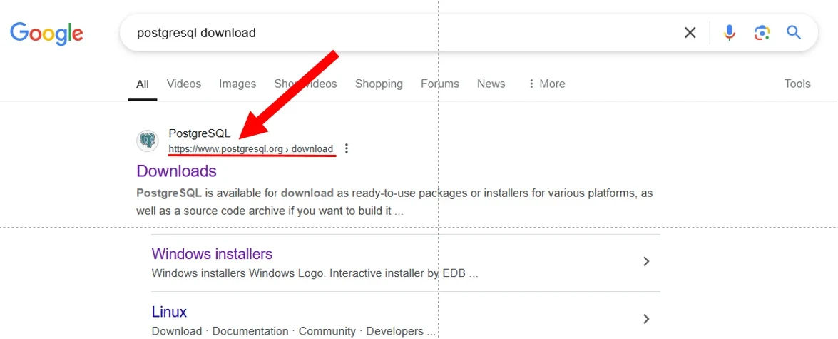 img2 - PostgreSQL official site in search results