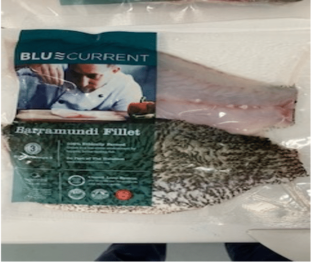 Las mejores ofertas en Unbranded Barramundi (Barra) de los cebos