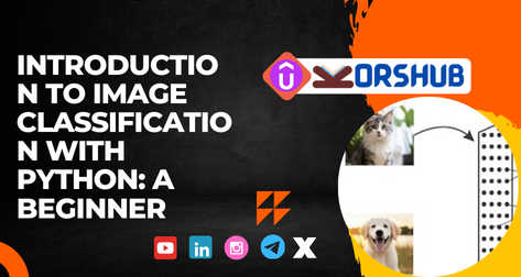 Your First Steps in AI: Image Classification with Python for Starters image