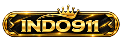 INDO911 Logo