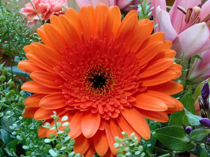 Bloementherapieorakel